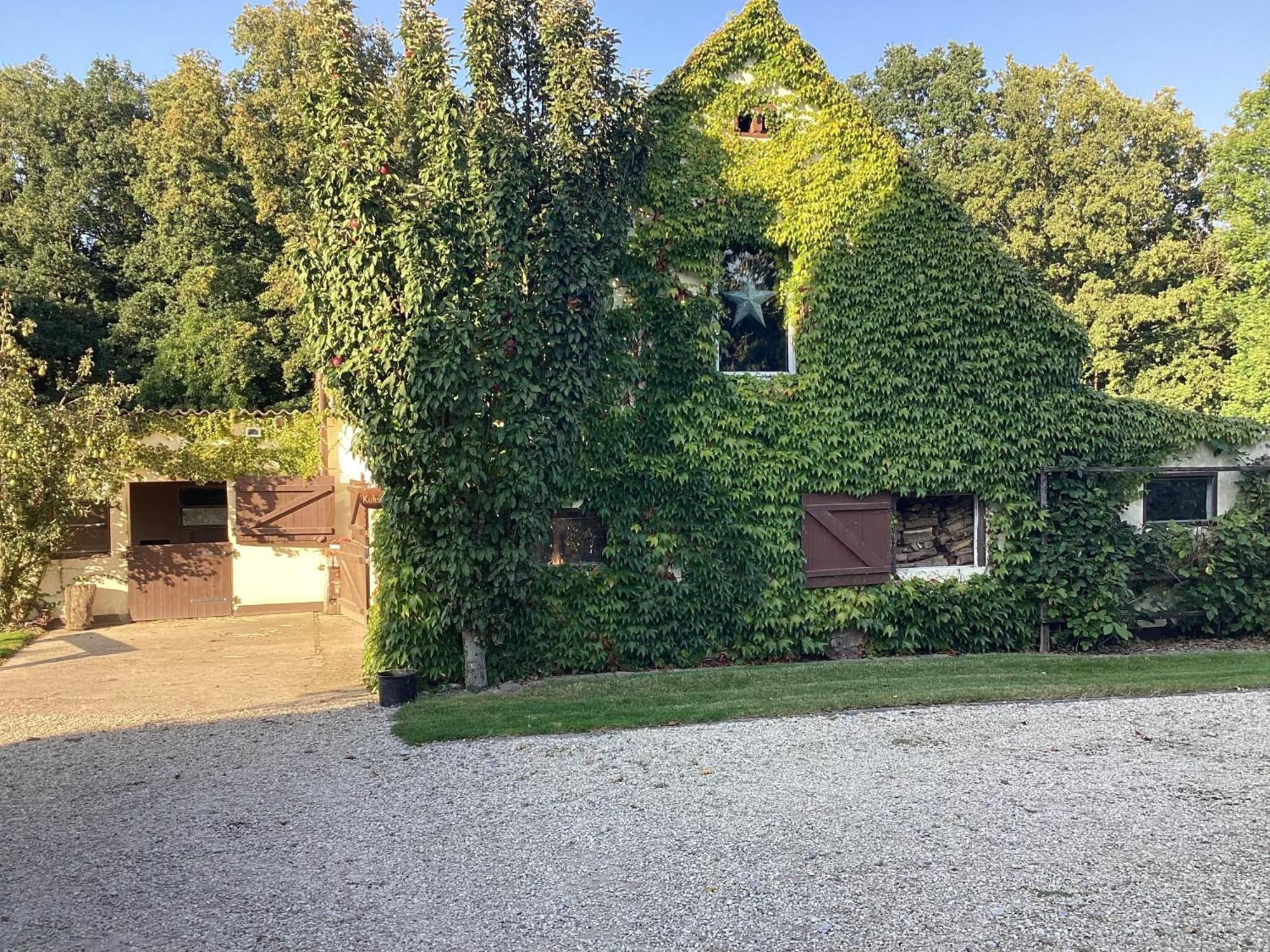 Kuhlmanns Hof Apartment Флото Екстериор снимка